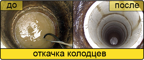 Ассенизаторские услуги в Реутове